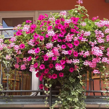 Apartment Primavera *